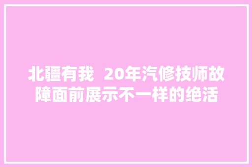 北疆有我  20年汽修技师故障面前展示不一样的绝活