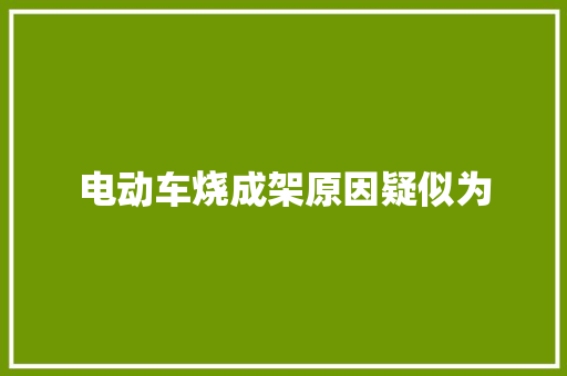 电动车烧成架原因疑似为