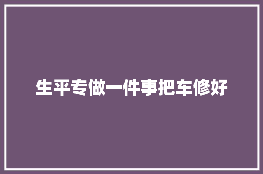生平专做一件事把车修好