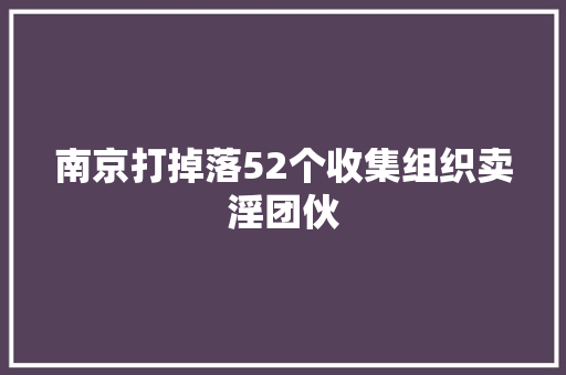 南京打掉落52个收集组织卖淫团伙