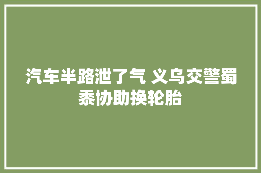 汽车半路泄了气 义乌交警蜀黍协助换轮胎