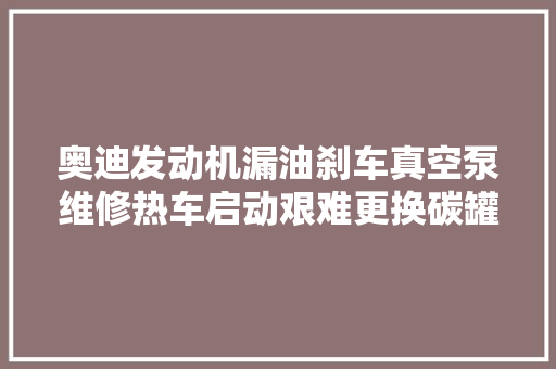 奥迪发动机漏油刹车真空泵维修热车启动艰难更换碳罐电磁阀