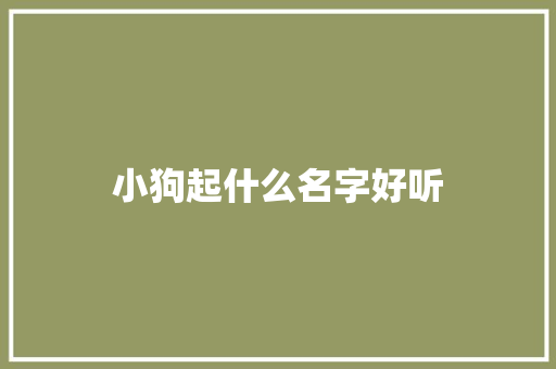小狗起什么名字好听