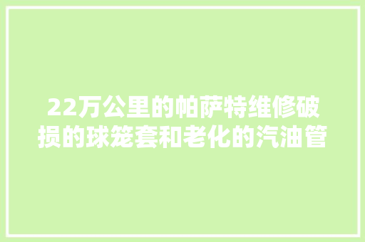 22万公里的帕萨特维修破损的球笼套和老化的汽油管被师傅换下