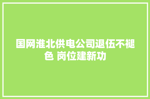 国网淮北供电公司退伍不褪色 岗位建新功