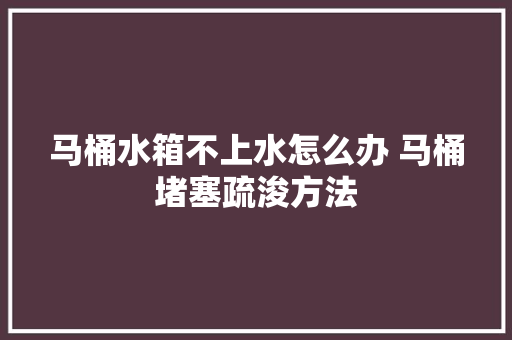 马桶水箱不上水怎么办 马桶堵塞疏浚方法