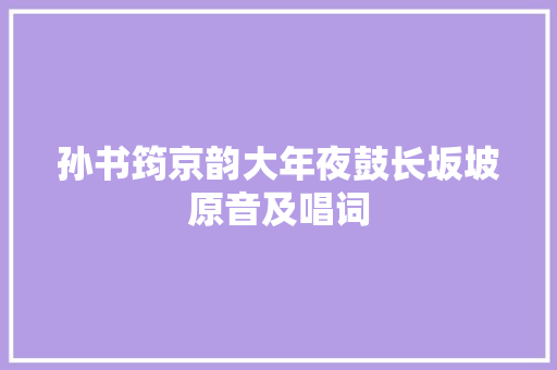 孙书筠京韵大年夜鼓长坂坡原音及唱词