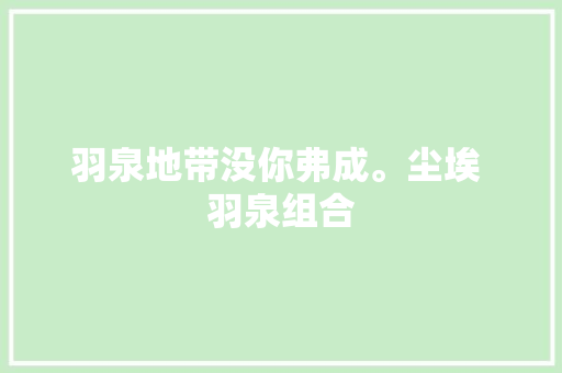 羽泉地带没你弗成。尘埃 羽泉组合