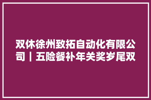 双休徐州致拓自动化有限公司｜五险餐补年关奖岁尾双薪