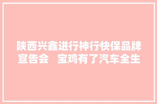 陕西兴鑫进行神行快保品牌宣告会   宝鸡有了汽车全生命周期综合做事商