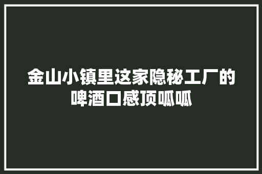 金山小镇里这家隐秘工厂的啤酒口感顶呱呱