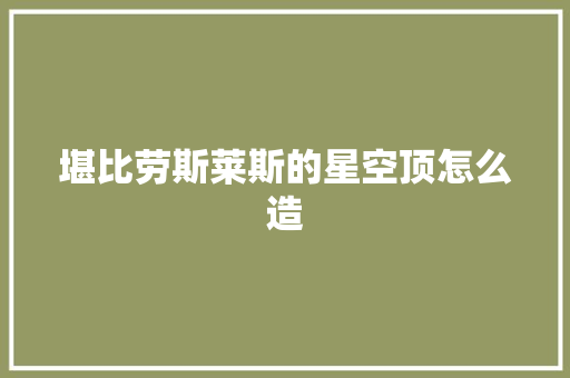 堪比劳斯莱斯的星空顶怎么造