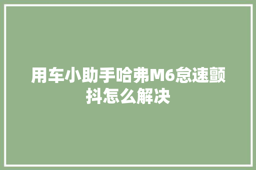 用车小助手哈弗M6怠速颤抖怎么解决