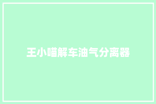 王小喵解车油气分离器