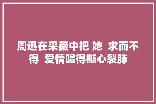周迅在采薇中把 她  求而不得  爱情唱得撕心裂肺