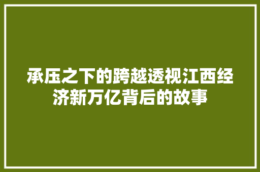 承压之下的跨越透视江西经济新万亿背后的故事