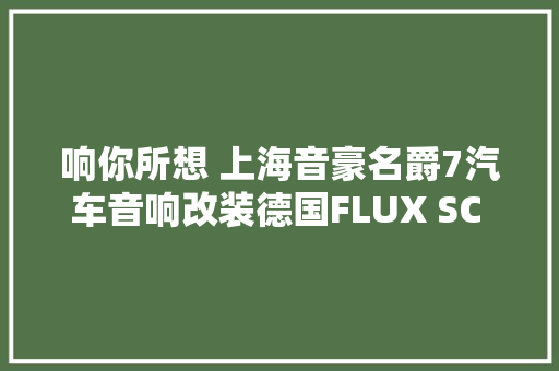 响你所想 上海音豪名爵7汽车音响改装德国FLUX SC 361三分频