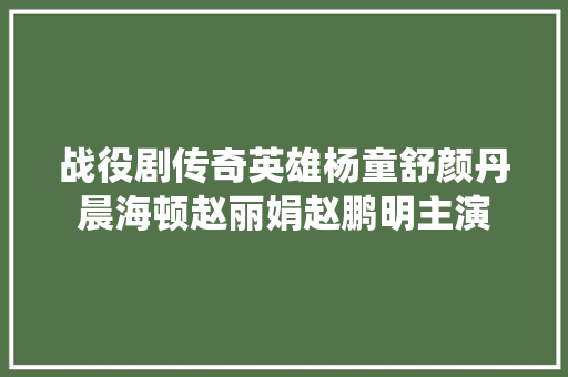 战役剧传奇英雄杨童舒颜丹晨海顿赵丽娟赵鹏明主演