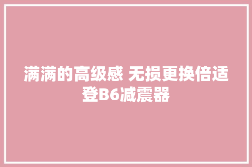 满满的高级感 无损更换倍适登B6减震器