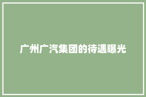 广州广汽集团的待遇曝光