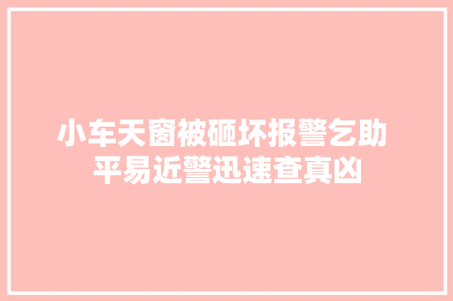 小车天窗被砸坏报警乞助 平易近警迅速查真凶