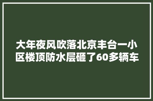 大年夜风吹落北京丰台一小区楼顶防水层砸了60多辆车谁来赔