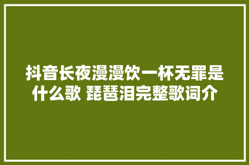 抖音长夜漫漫饮一杯无罪是什么歌 琵琶泪完整歌词介绍