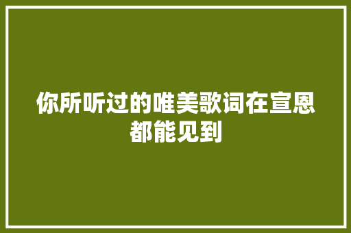你所听过的唯美歌词在宣恩都能见到