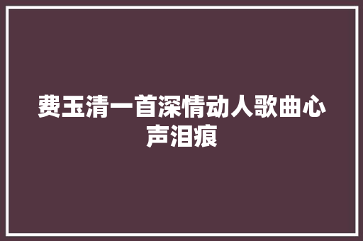 费玉清一首深情动人歌曲心声泪痕