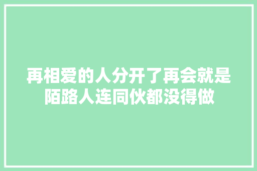再相爱的人分开了再会就是陌路人连同伙都没得做