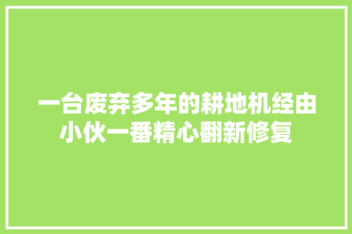 一台废弃多年的耕地机经由小伙一番精心翻新修复