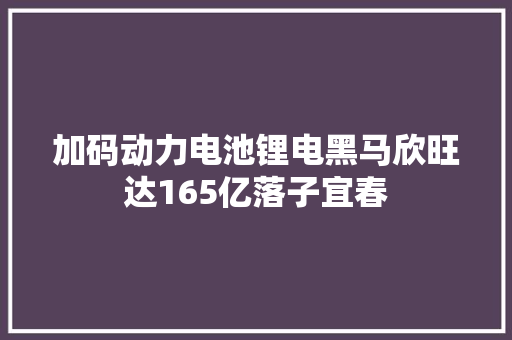 加码动力电池锂电黑马欣旺达165亿落子宜春
