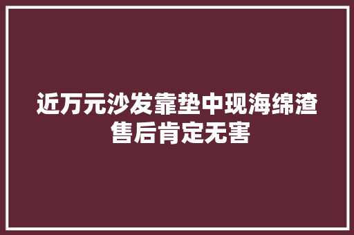 近万元沙发靠垫中现海绵渣 售后肯定无害