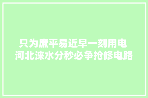 只为庶平易近早一刻用电 河北涞水分秒必争抢修电路