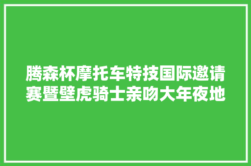 腾森杯摩托车特技国际邀请赛暨壁虎骑士亲吻大年夜地活动重庆举行