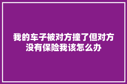 我的车子被对方撞了但对方没有保险我该怎么办