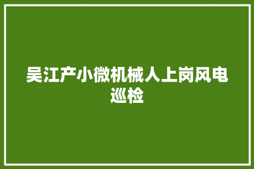 吴江产小微机械人上岗风电巡检