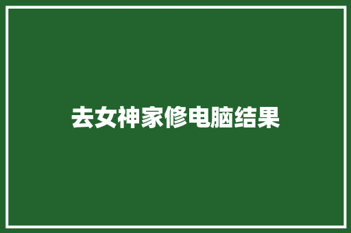 去女神家修电脑结果
