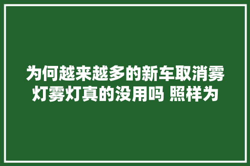 为何越来越多的新车取消雾灯雾灯真的没用吗 照样为了省成本