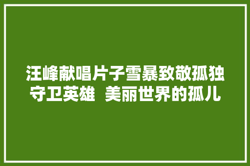 汪峰献唱片子雪暴致敬孤独守卫英雄  美丽世界的孤儿五一必看