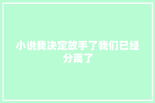 小说我决定放手了我们已经分离了