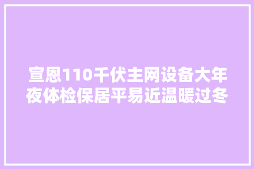 宣恩110千伏主网设备大年夜体检保居平易近温暖过冬