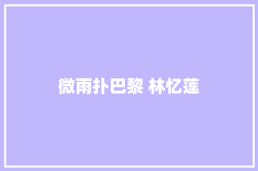 微雨扑巴黎 林忆莲