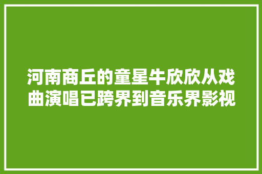 河南商丘的童星牛欣欣从戏曲演唱已跨界到音乐界影视圈