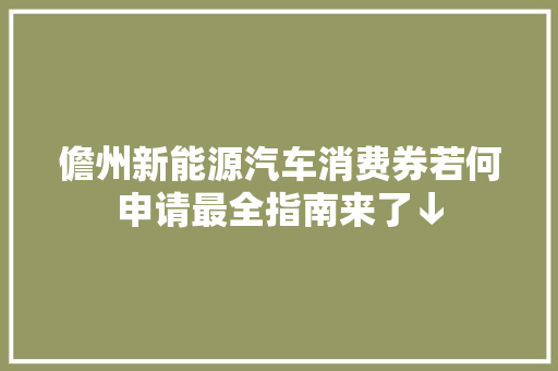 儋州新能源汽车消费券若何申请最全指南来了↓