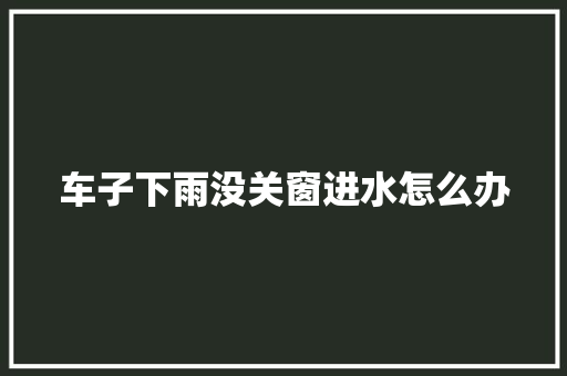 车子下雨没关窗进水怎么办