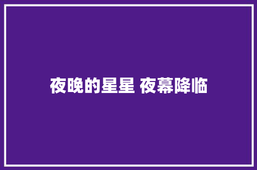 夜晚的星星 夜幕降临