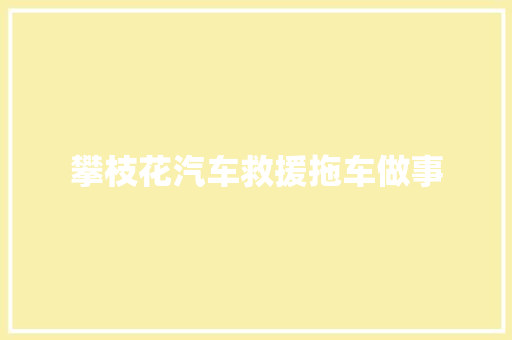 攀枝花汽车救援拖车做事