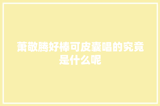 萧敬腾好棒可皮囊唱的究竟是什么呢