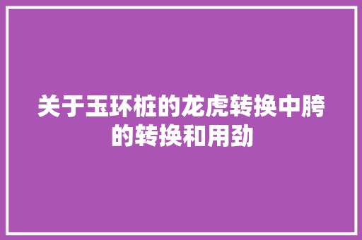 关于玉环桩的龙虎转换中胯的转换和用劲